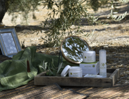 الاختلافات بين مستحضرات التجميل التقليدية والطبيعية والعضوية